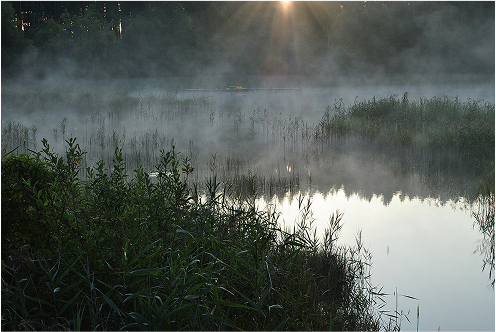 stefan zeromski zdjecie 14