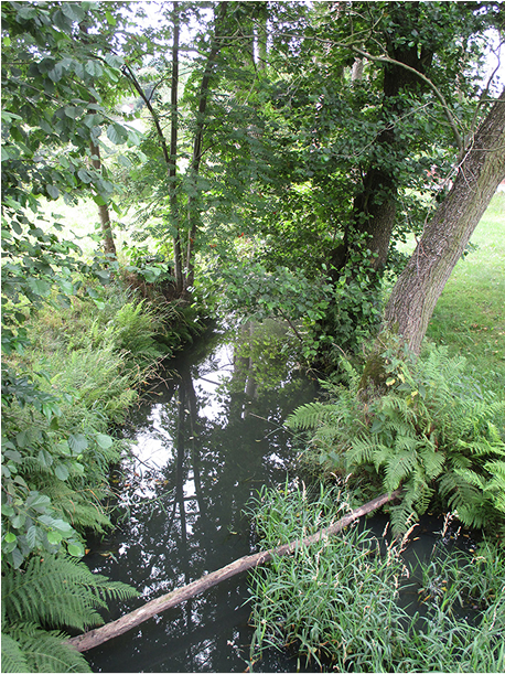 stefan zeromski zdjecie 16