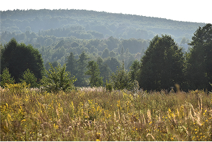 stefan zeromski zdjecie 3