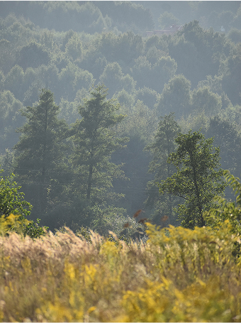 stefan zeromski zdjecie 7 1