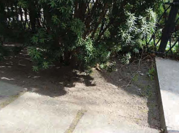 zbiorka publiczna grob zeromskiego 1