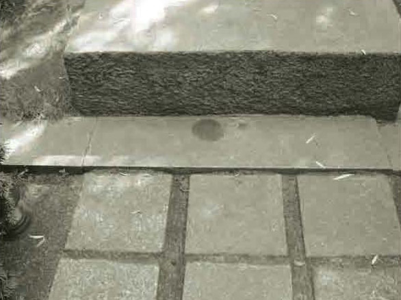 zbiorka publiczna grob zeromskiego 3